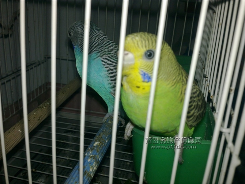 201107121297.jpg