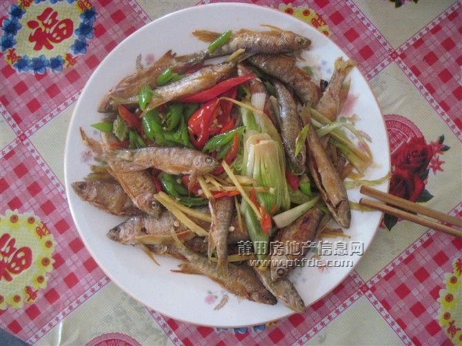 新泉河鱼